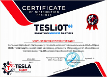 TESLiOT